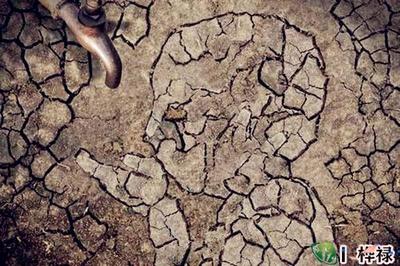 新加坡为什么缺水