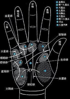 什么手纹是富贵命