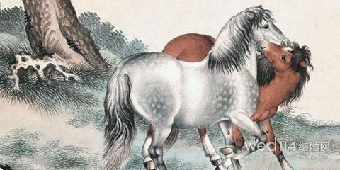 指鹿为马什么生肖