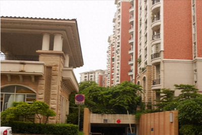 上坟属什么最好