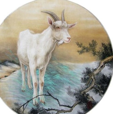 什么羊好听的名字