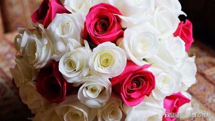 紫色花瓣配什么花心